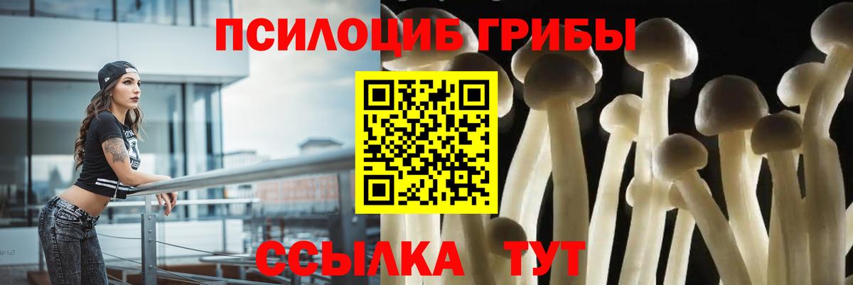 Галлюциногенные грибы Magic Shrooms  Галлюциногенные грибы Psilocybine cubensis  Шелехов  Вход с VPN 