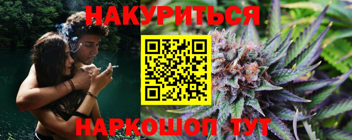 Каннабис индика Шелехов